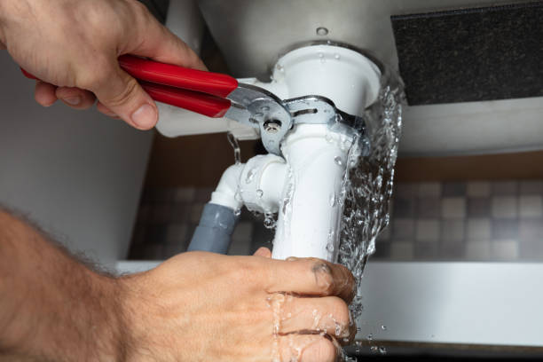 Best Water damage cleanup near me  in Haiku Pauwela, HI