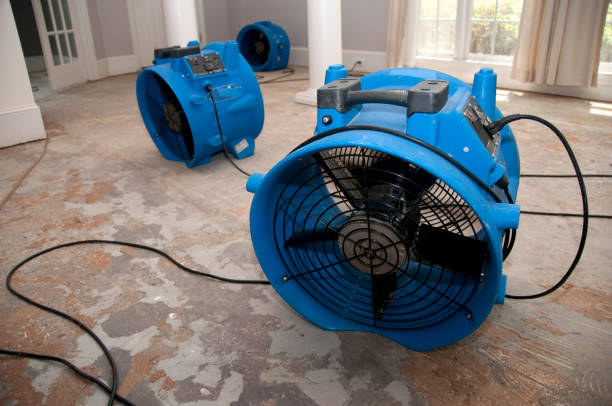 Best Ceiling water damage repair  in Haiku Pauwela, HI