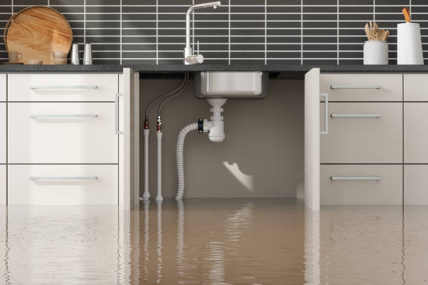 Best Professional water damage repair  in Haiku Pauwela, HI