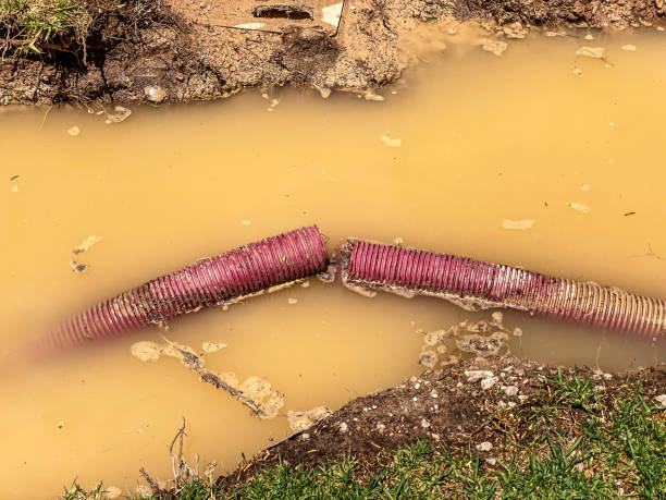Best Flood damage cleanup  in Haiku Pauwela, HI